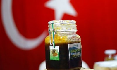 Peri balı’nın kilo rakamı duyanı şaşırtıyor