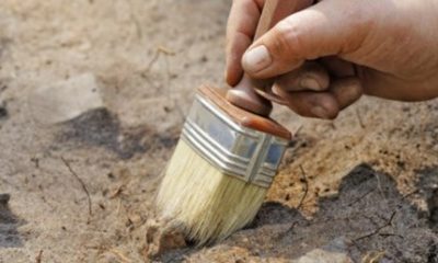 Dünyanın en eski bitki fosiline ulaşıldı