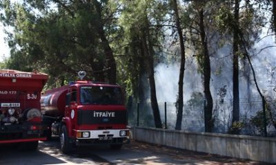Antalya’da orman yangını