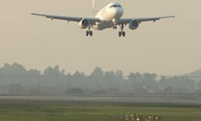 Uçağa çarpan leylek seferleri iptal ettirdi