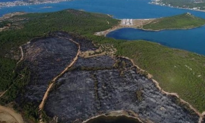 Ayvalık Cennet Koyu’nda Orman Yangını Sonrası Ağaçlandırma Kampanyası