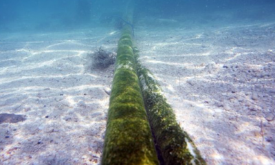 İngiltere: Rusya’nın interneti kesme riski var