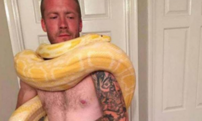 Evde beslediği Afrika kaya pitonu tarafından boğularak öldürüldü