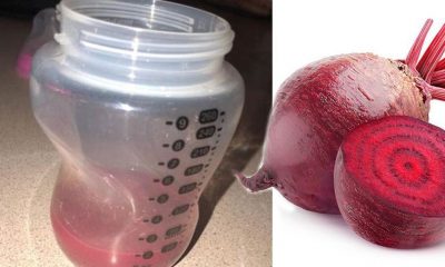 Pancar yemeyi abarttı, idrarı ve sütü pembeye döndü!