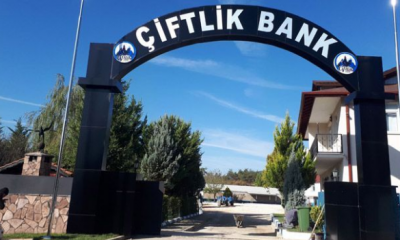 Çiftlik Bank`tan sonra şimdi de onlar ortaya çıktı!