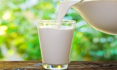 Çiğ süt referans fiyatı 153 kuruş