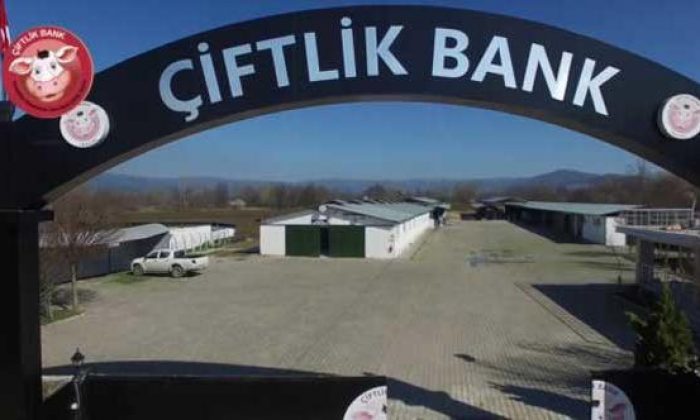 Bakanlık açıkladı! Yarım milyarlık vurgun