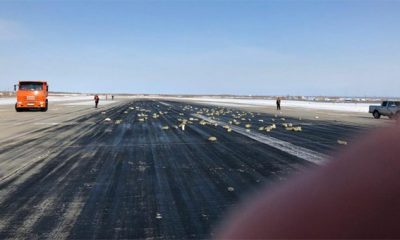 Gökten altın ve gümüş külçeleri yağdı