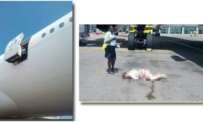 Hostes uçaktan düştü!