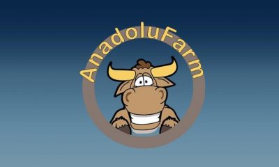 Çiftlik Bank’tan sonra ikinci vurgun: Anadolu Farm!