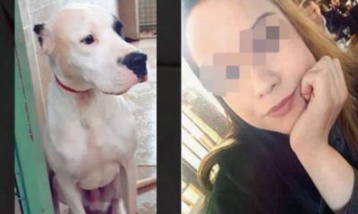 ‘Beni tanıdın mı?’ deyip köpeği üstüne saldı! Hayatı karardı