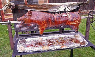 Ramazanda Türk camisi önünde domuz çevirmek isteyen Pegida’ya yasak