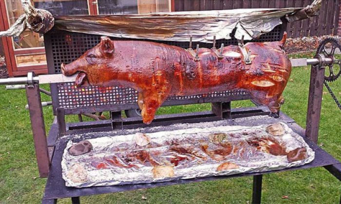 Ramazanda Türk camisi önünde domuz çevirmek isteyen Pegida’ya yasak