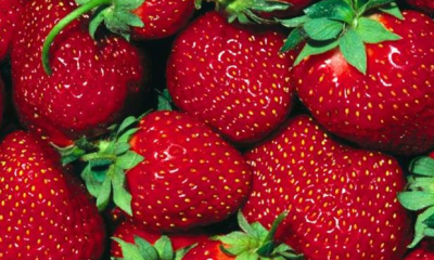 Bu sorunu yaşayan bol bol çilek yesin!