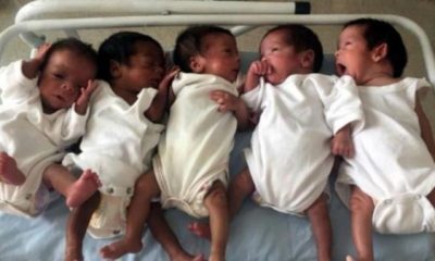 Beşizler doğdu: Babaları iş arıyor