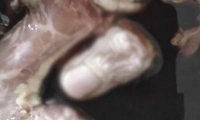 Bir paket tavuk aldı, içinden çıkan şoke etti