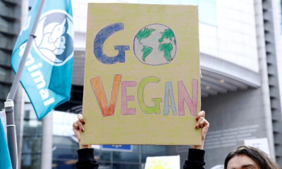 6 vegan vandalizm şüphesiyle gözaltına alındı