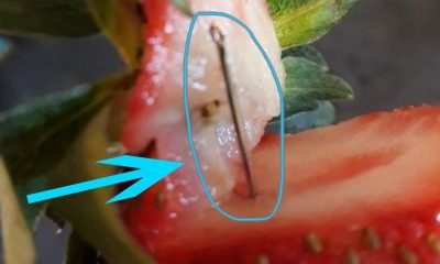 Çileklerin içinden iğne çıkan Avustralya’da satışlar durdu