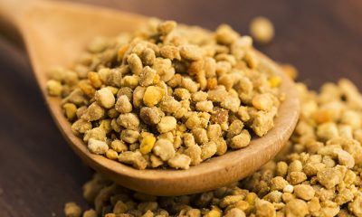 Polenin faydaları nelerdir?