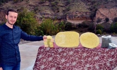 İngiltere, Almanya ve Norveç’e satıyor