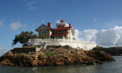 Maaşı 240.000 TL! Sadece 3 şart var! Burada çalışacak eleman aranıyor!