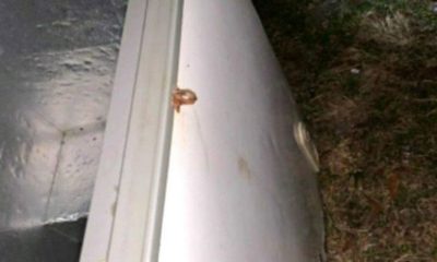 Ölümcül oyun! Derin dondurucuda feci son!