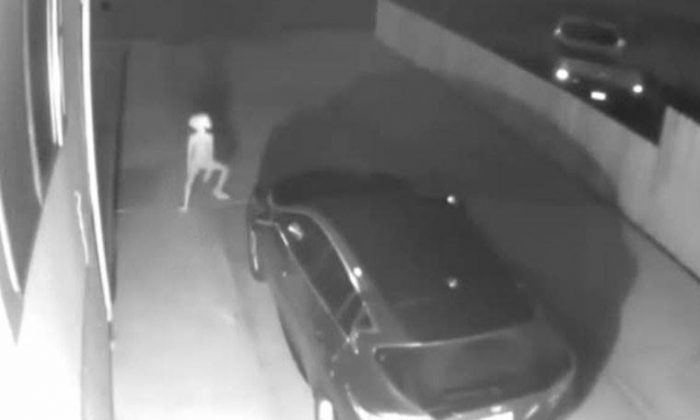 Dünya bu görüntüyü konuşuyor: Gizemli ‘yaratık’ ne?