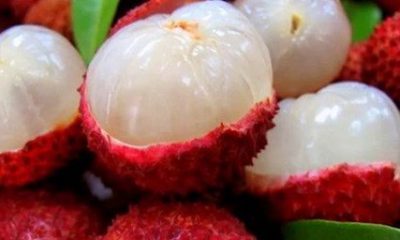 Tropik meyve iki haftada onlarca çocuğu öldürdü