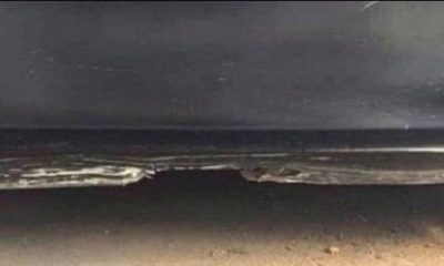 Gerçeği öğrenen şaşırıp kalıyor! Dikkatle bakın