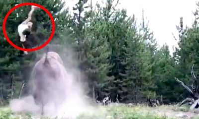 Milli parkta korkunç olay!