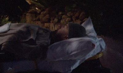 Ünlü yüzücü köpekbalığı saldırısına uğradı