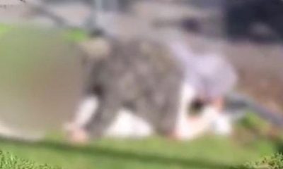 Çocukların gözü önünde cinsel ilişkiye girdiler…