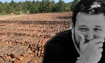 Şahan Gökbakar, Kaz Dağları’ndaki ‘katliama’ ateş püskürdü