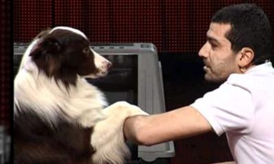 Yetenek Sizsiniz yarışmasının şampiyonu Max öldü