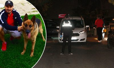 Beşiktaş’ta vahşet…