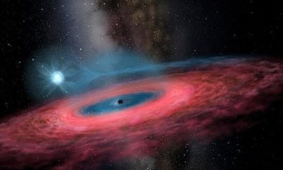 Bilim dünyası şaşkın: Dev kara delik bulundu