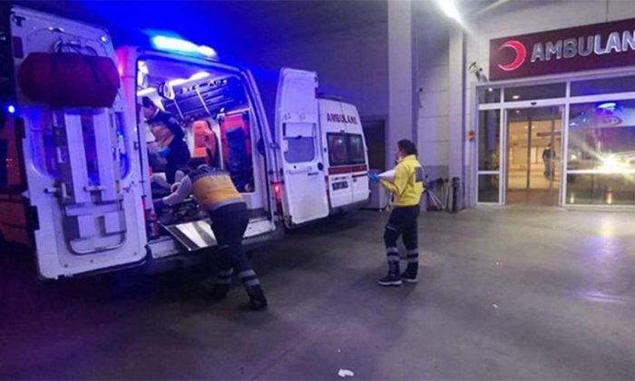 Dağdan topladıkları mantarı yiyen 3 kadın hastanelik oldu