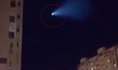 Gören dehşete düştü ama gerçek çok geçmeden ortaya çıktı