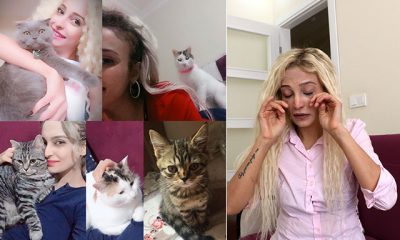 Kedileri vahşice öldürüldü, eski sevgilisi hakkında suç duyurusunda bulundu