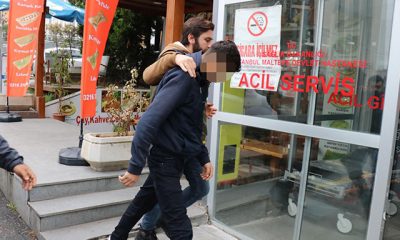 Maltepe’de hayvanseverlerin tepkisine neden olan vahşete 3 gözaltı