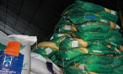 Başkan Yavaş duyurdu! Bedava dağıtılacak