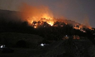 Bursa’da korkutan yangın