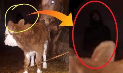 Fotoğrafa yansıyan siluet, tartışma konusu oldu