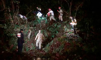 Kestikleri ağaç üzerlerine devrilen çift öldü