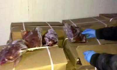 Çin’den ithal 23 ton ciğerin ele geçirilmesi sonrası uzmanlar uyardı