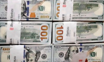 Çöpe atılan 70 bin dolarının izini takip edip buldu