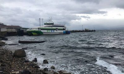 İDO ve BUDO’da sefer iptalleri