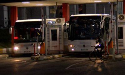 Evcil hayvanlar artık şehirlerarası otobüslerde yolcularla seyahat edebilecek