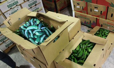 Biber kasalarında uyuşturucu geçirmeye çalıştı, rengi tutturamayınca yakalandı