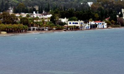 Bodrum’da denizin rengi kahverengiye döndü